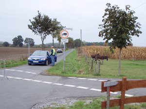 Muensterland Giro 183